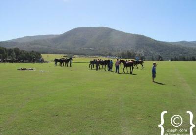 Kurland Hotel grounds estate Plettenberg Bay riding mountain biking quad biking Garden Route South Africa
