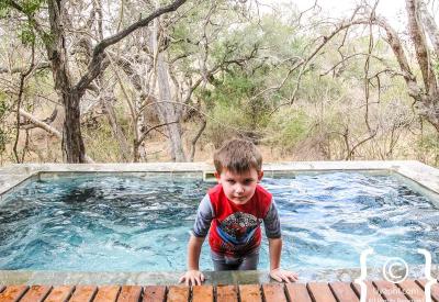 Thornybush Game Lodge Greater Kruger family safari Junior Ranger Pack Xavier first leopard sighting Timbavati