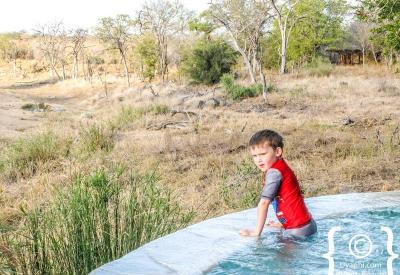 Sabi Sand Game Reserve private vehicle Big Five leopard lion family safari Greater Kruger South Africa