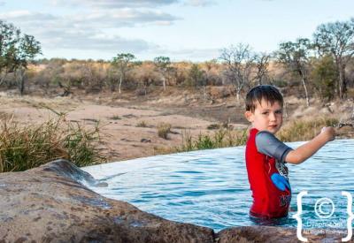 Motswari Timbavati Reserve four elephant herds dam private vehicle Chad family safari Greater Kruger