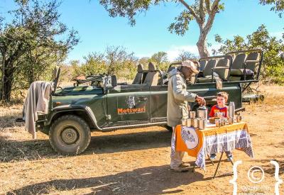 Gomo Gomo Game Lodge Timbavati dam family room two bedrooms Greater Kruger South Africa family safari