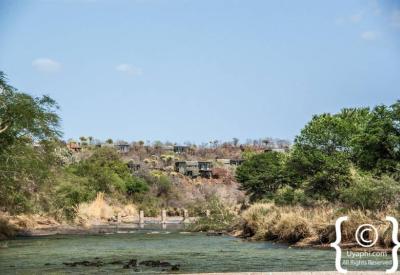 Singita Sweni Lodge swimming pool deckchairs umbrella swing pool main lodge tranquillity Kruger Park