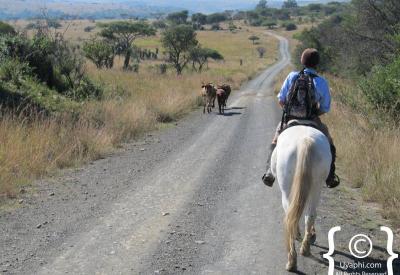 Isandlwana battlefield Fugitives Drift Anglo-Zulu War 1879 historical tour in situ lecture KwaZulu-Natal