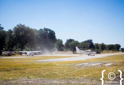 Okavango Delta aerial view waterways channels islands light aircraft Botswana photography