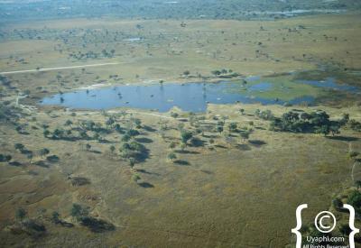 Okavango Delta channels bush islands aerial view light aircraft Botswana