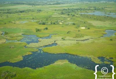 Chobe River floodplains aerial view light aircraft Botswana Chobe National Park