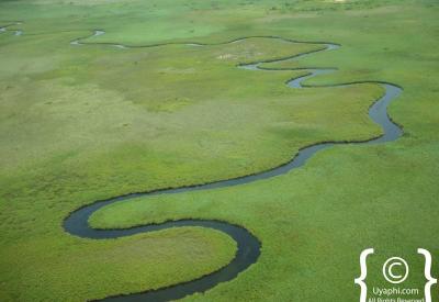 Chobe River floodplains aerial view light aircraft Botswana Chobe National Park