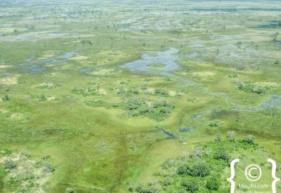 Savuti Marsh aerial view light aircraft Chobe National Park Botswana photography