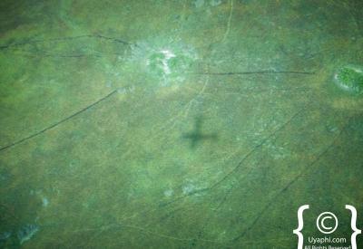Savuti Marsh aerial view light aircraft Chobe National Park Botswana photography