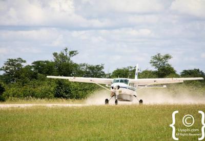 Okavango Delta aerial sunset light aircraft Botswana fly-in safari photography