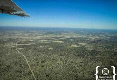 Okavango Delta aerial floodplains islands papyrus channels Botswana photography