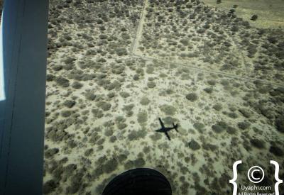 Moremi Game Reserve aerial view Okavango Delta islands Botswana photography