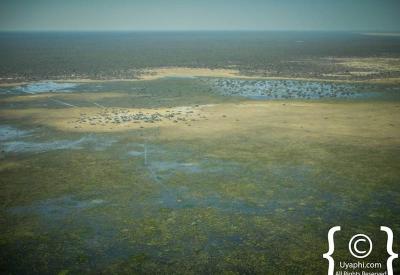 Moremi Game Reserve aerial view Okavango Delta islands Botswana photography