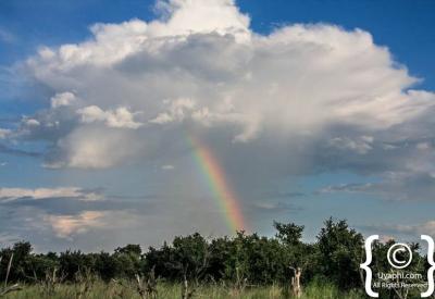 Botswana dawn golden hour flat landscape scenery photography Okavango Kalahari