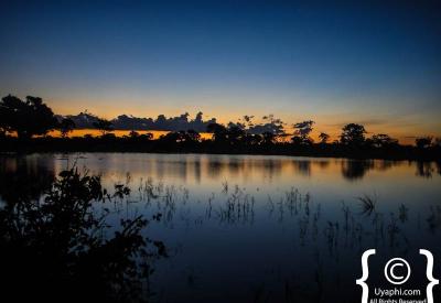 Savuti Marsh landscape Chobe National Park Botswana scenery photography