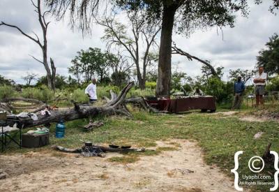 Savuti Marsh landscape Chobe National Park Botswana scenery photography