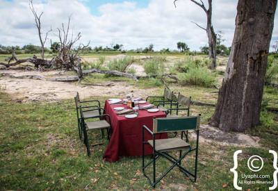 Khwai River floodplain scenery Moremi border Botswana photography