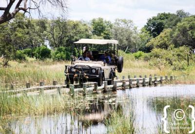 Khwai River floodplain scenery Moremi border Botswana photography