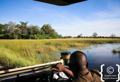 Botswana summer rain thunder plains photography Kalahari Chobe Moremi scenery