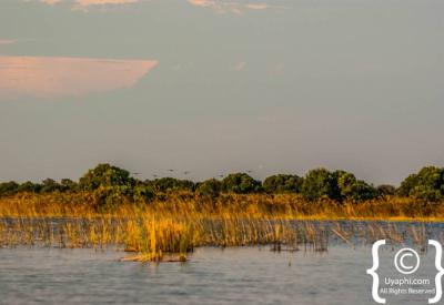 Okavango Delta waterways channels ground level scenery Botswana photography
