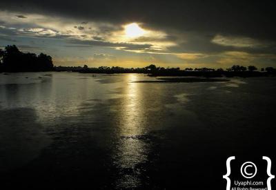 Okavango Delta island palm trees waterways Botswana scenery photography