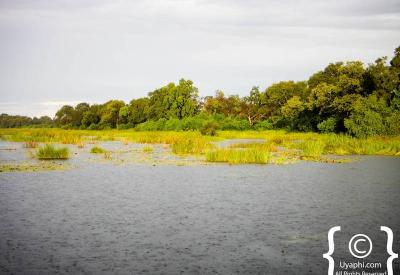 Botswana scenery flat desert landscape best wildlife Africa photography ground level