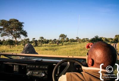 Baobab tree iconic Botswana landscape scenery Makgadikgadi Kalahari photography