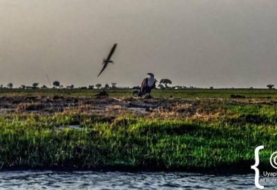 Chobe River wide view from boat Namibia border Botswana photography