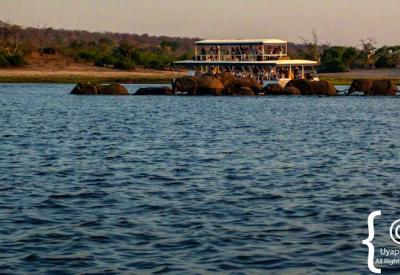 Buffalo Chobe River edge Botswana boat cruise Chobe National Park photography