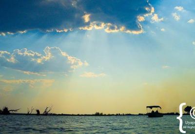 Elephant herd drinking Chobe River Botswana boat cruise Chobe National Park photography