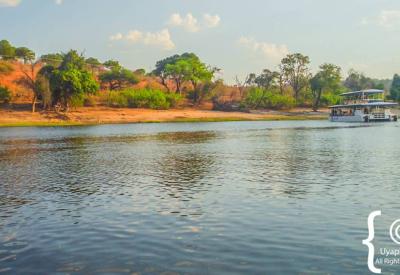 Nile crocodile Chobe River bank Botswana boat cruise Chobe National Park photography