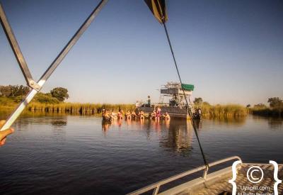 Walking safari Delta island Okavango Botswana wildlife photography