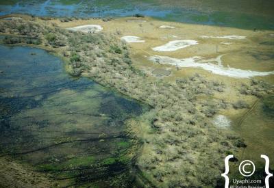 Birdlife Okavango Delta waterways 597 species Botswana photography