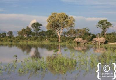 Small creatures insects reptiles Okavango Delta Botswana photography don't forget