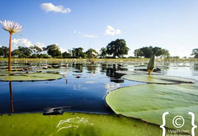 Okavango Delta sunset reflection waterways Botswana photography