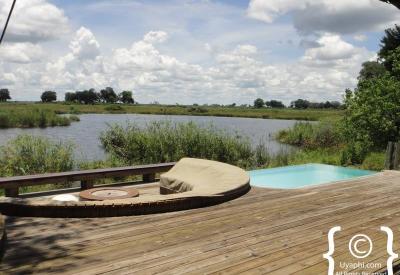 Buffalo herd Okavango Delta floodplains Moremi Game Reserve Botswana photography