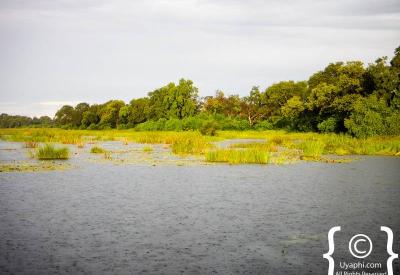 Okavango Delta landscape waterways largest inland delta world Botswana photography