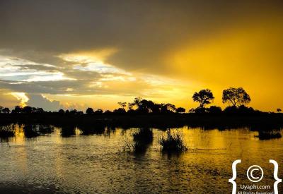 Okavango Delta landscape waterways largest inland delta world Botswana photography