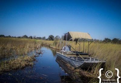 Walking safari Delta island Okavango Botswana wildlife photography