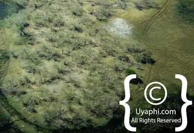 Botswana Aerial Pictures