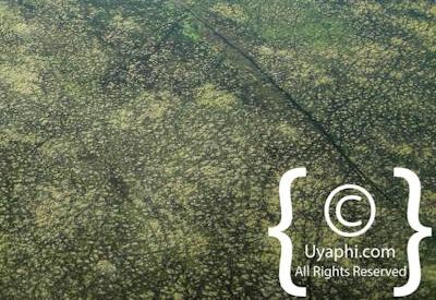 Botswana Aerial Pictures