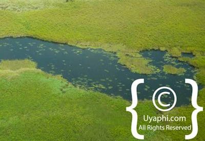 Aerial Photographs Over Botswana