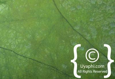 Aerial Photographs Over Botswana