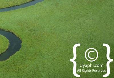 Aerial Photographs Over Botswana