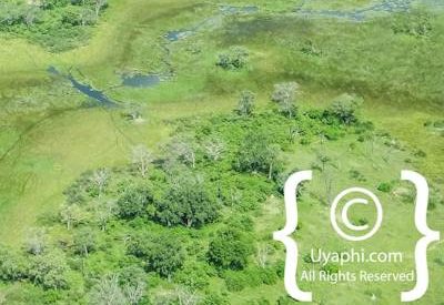Aerial Photographs Over Botswana