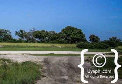 Aerial Photographs Over Botswana