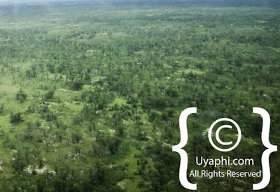 Aerial Photographs Over Botswana