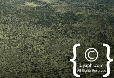 Botswana Aerial Pictures