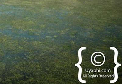 Botswana Aerial Pictures