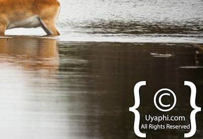 Botswana Scenery Pictures